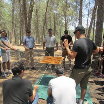 סדנאות ופעילויות odt