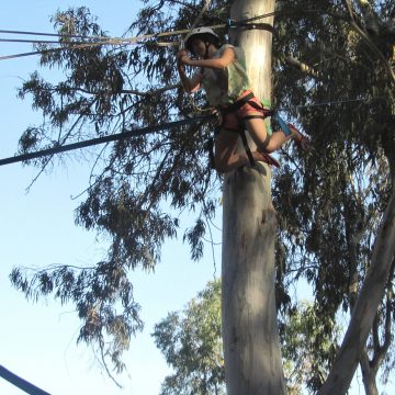 אומגת אומץ 2