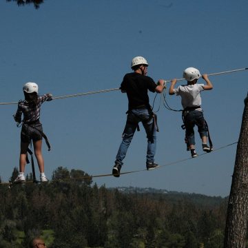 תמונה ראשית בראש הדף